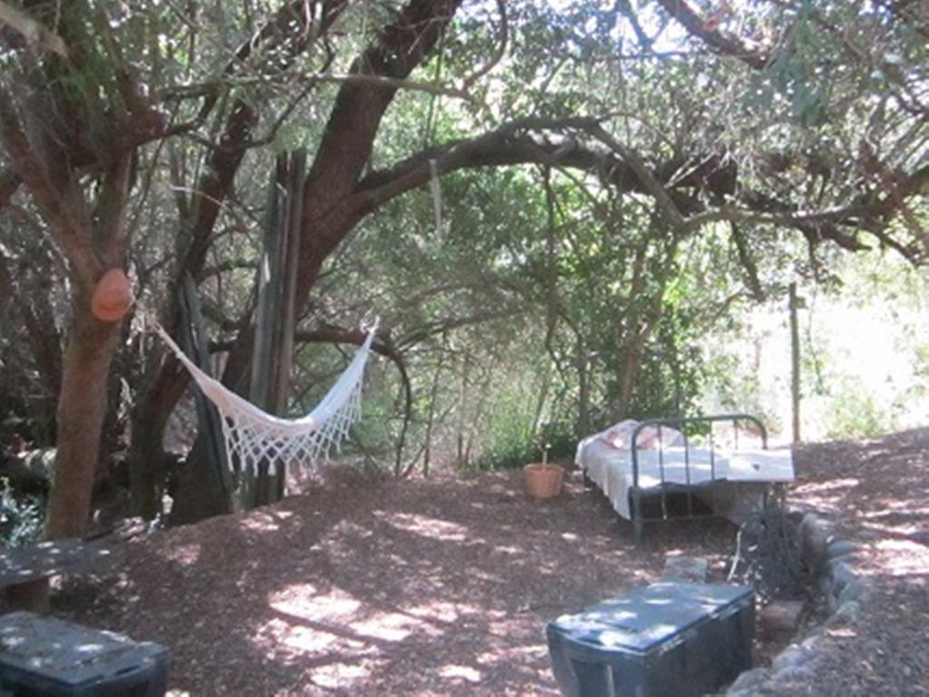 Cabana De Adobe En Lago Rapel Zimmer foto